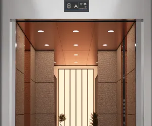 Sık açma kapamaya ve titreşime dayanıklı, uzun ömürlü LiftKeys asansör kabin spot aydınlatma sistemi